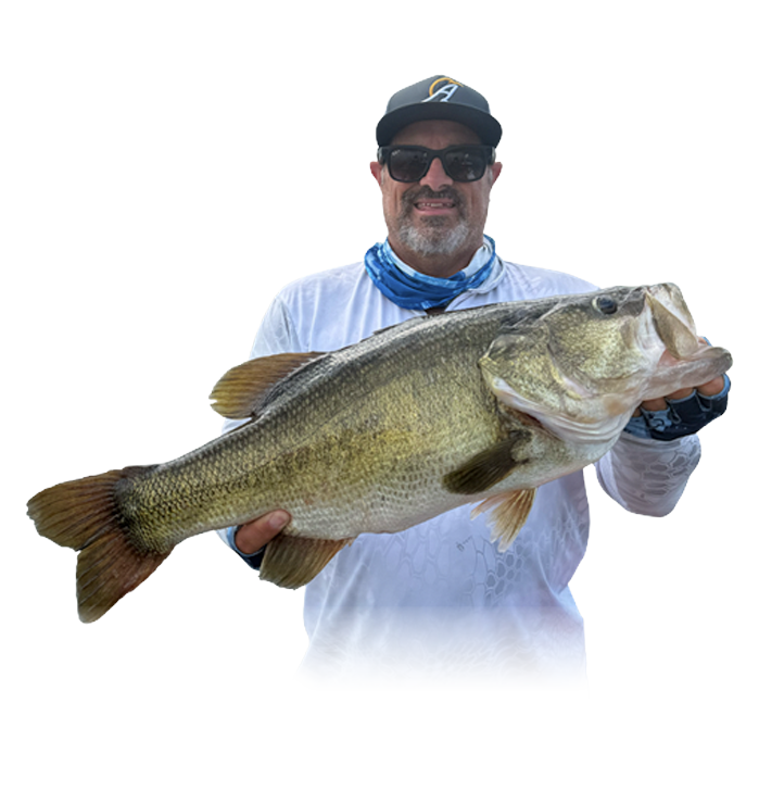 Fr Bass Ago26 Polish