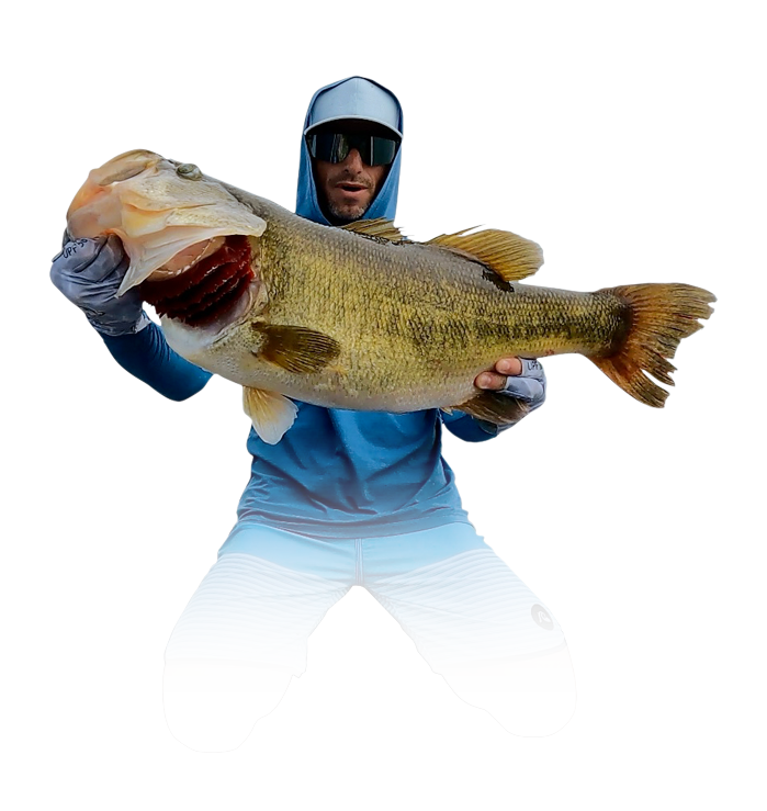 Fr Bass July