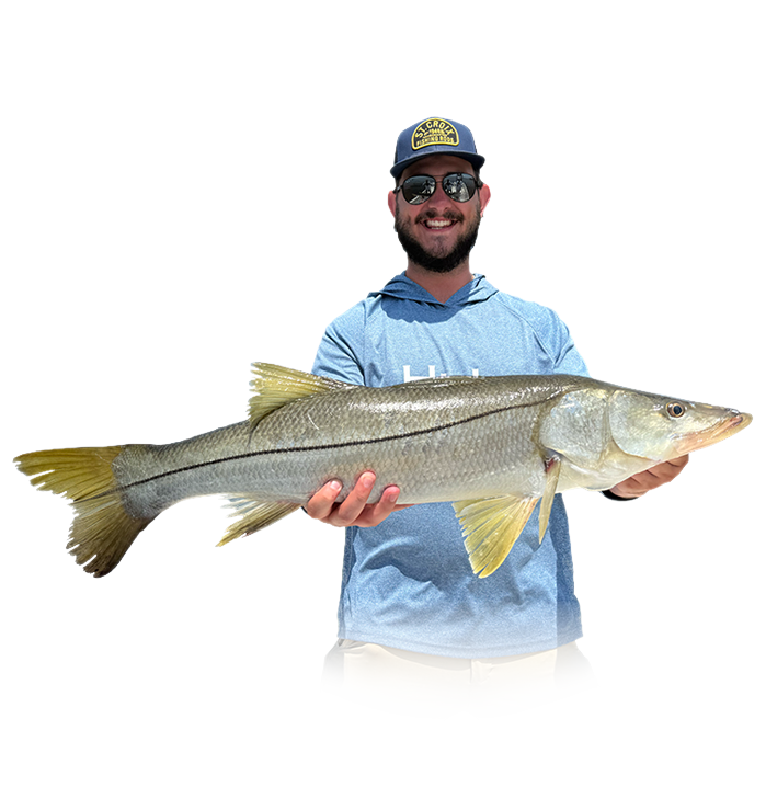 Fr Bass Jun25