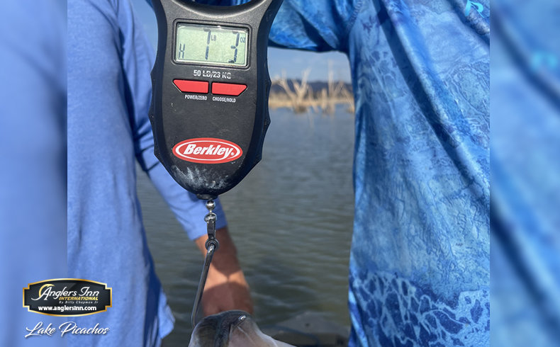Digital Fish Scale with Tape-50 - Berkley® Fishing US